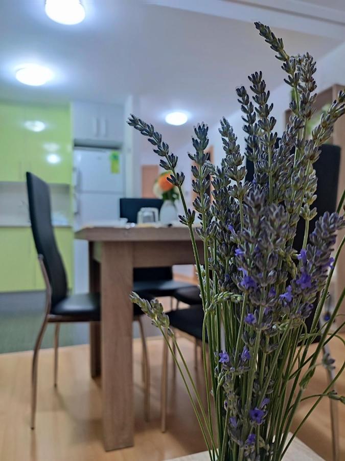 Apartamento Estrella De Теруел Екстериор снимка